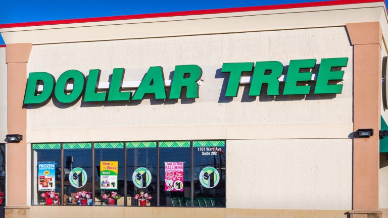 Dollar Tree CEO sends blunt message on prices, economy