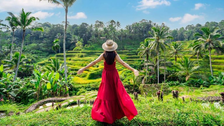 25-year-old travel booking platform shuts down forever, cancels trips