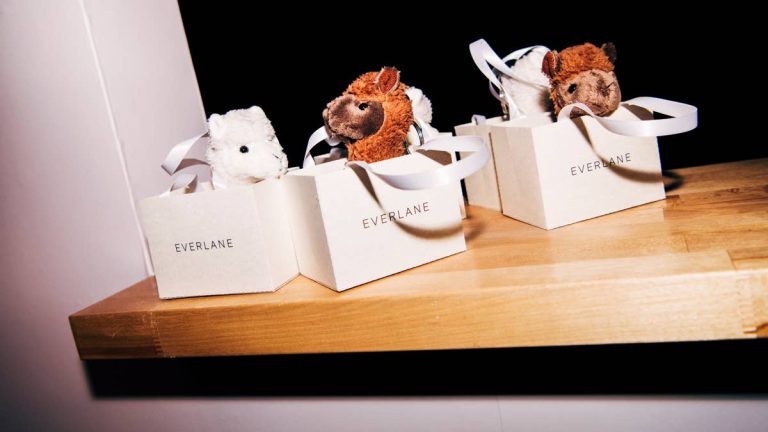 Beloved fashion brand makes surprising Shein move