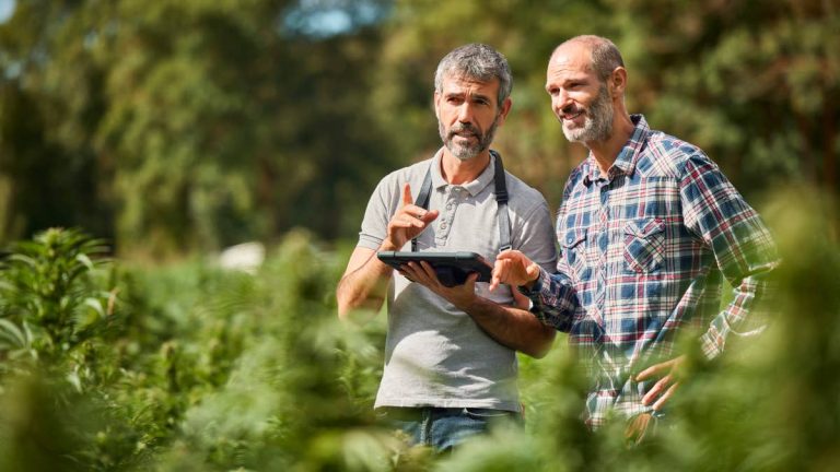 Major cannabis cultivation supply chain provider closes 12 stores
