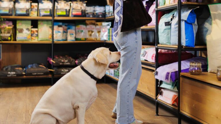 Dog food recalled after illnesses linked to salmonella