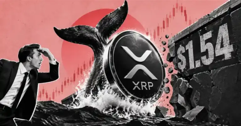 XRP Ledger Sees Record 11,432 New Accounts