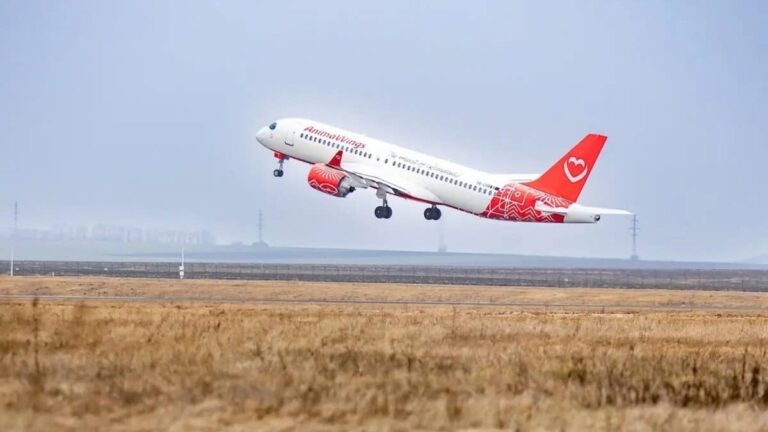 Another airline enters insolvency, cancels flights